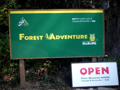 forestadventure.jpg
