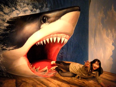 熱海城　トリックアートのサメ.jpg