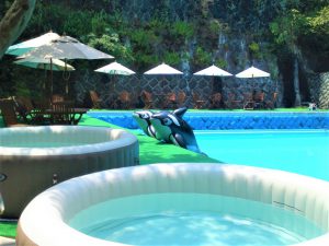 夏本番 プールと川で遊べるホテル ブログ 箱根の旅館ならホテルおくゆもと