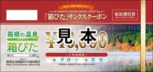 ☆速報☆お得なクーポン『箱ぴた サンクス クーポン』１月６日 発売です！！｜ブログ｜箱根の旅館ならホテルおくゆもと